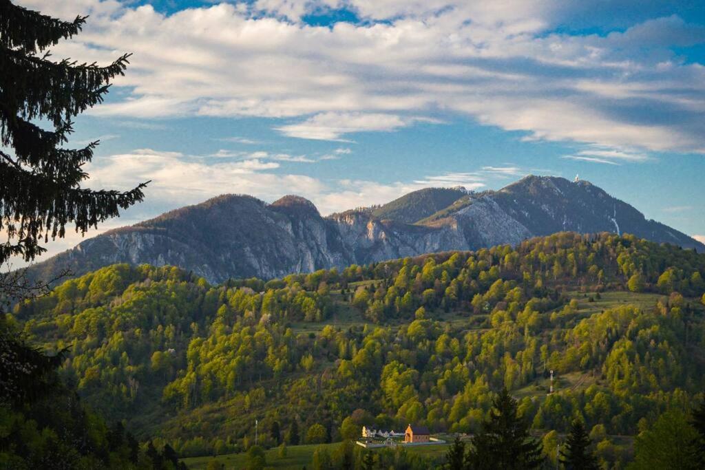 Chalet Dor De Munte Предял Екстер'єр фото