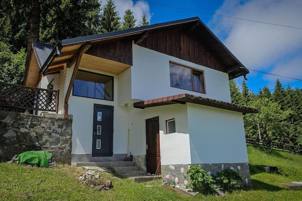 Chalet Dor De Munte Предял Екстер'єр фото